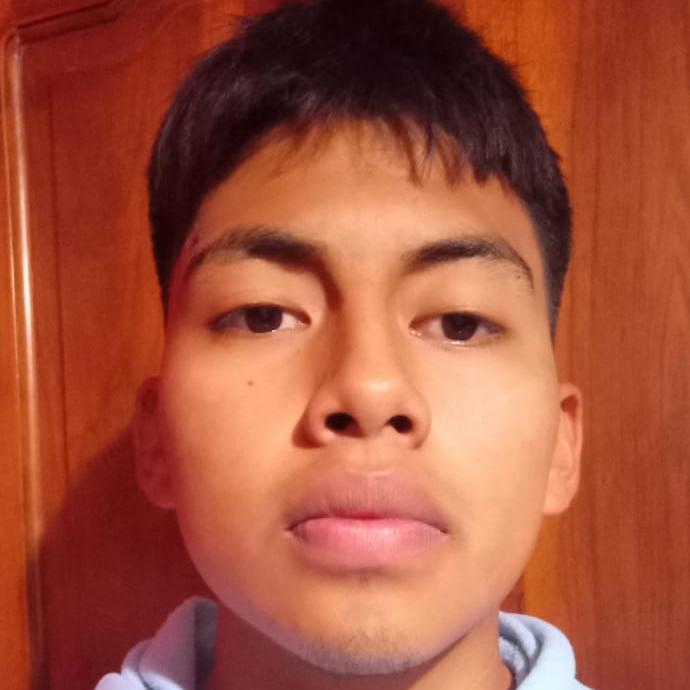 User Image